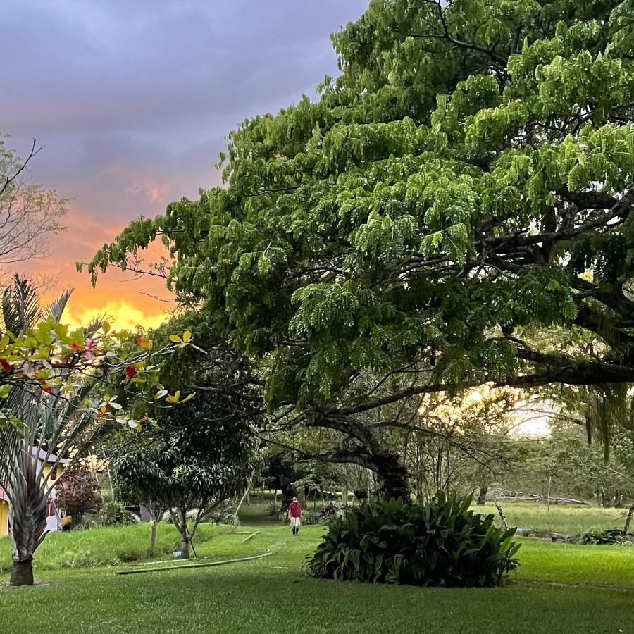 Muchosur Quimbaya Hotel Bagian luar foto