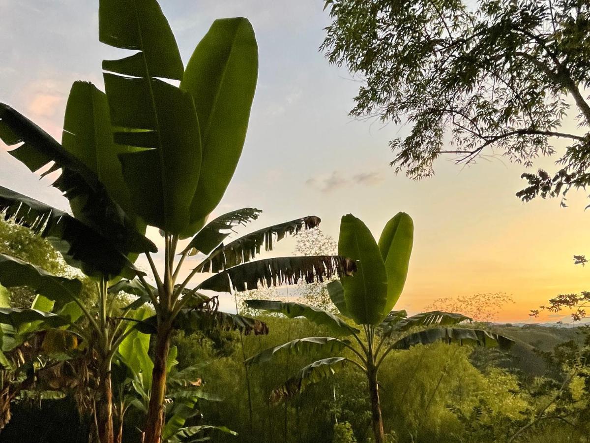 Muchosur Quimbaya Hotel Bagian luar foto