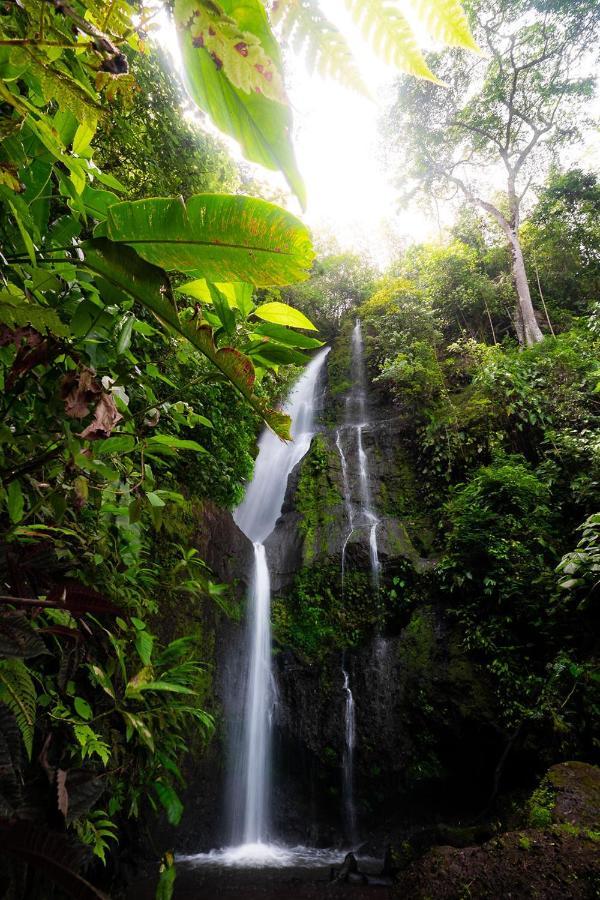 Muchosur Quimbaya Hotel Bagian luar foto