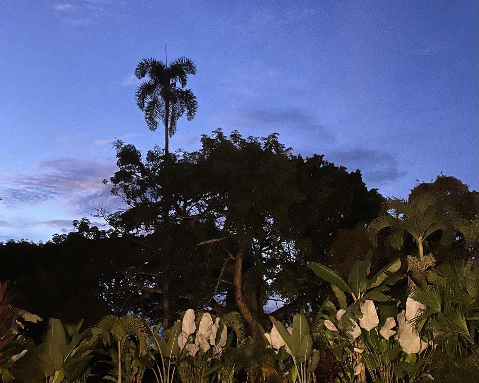 Muchosur Quimbaya Hotel Bagian luar foto