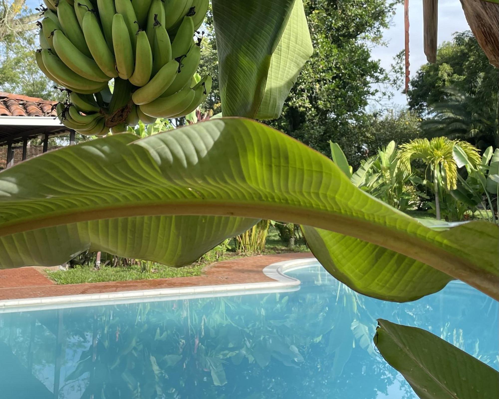 Muchosur Quimbaya Hotel Bagian luar foto