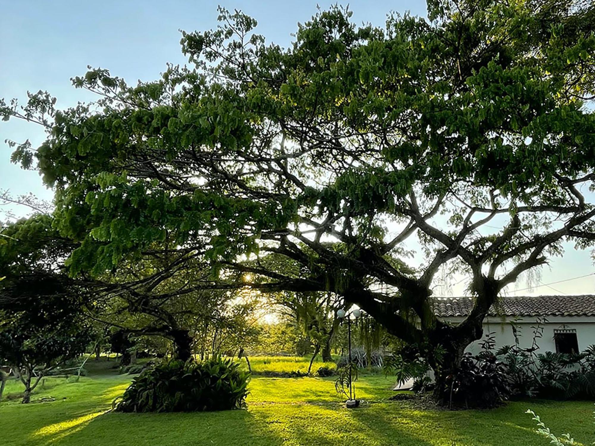 Muchosur Quimbaya Hotel Bagian luar foto